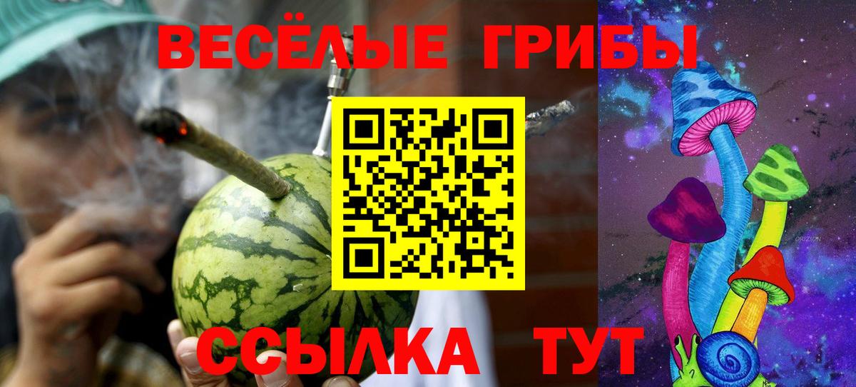 Псилоцибиновые грибы Cubensis Печора