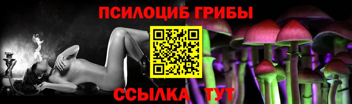 Печора  Галлюциногенные грибы Cubensis  Вход с VPN  Галлюциногенные грибы прущие грибы 